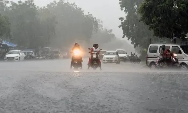 Fresh spell of rain expected in Gujarat from Saturday