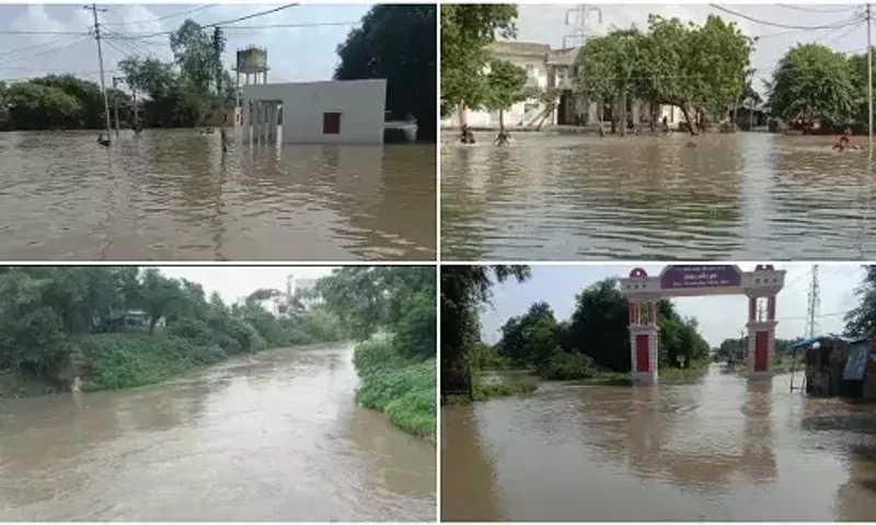 Vishwamitri river level rose due to heavy rains in the upstream region