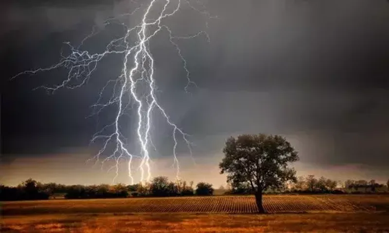 5 killed as rain, thunderstorm batter Gujarat