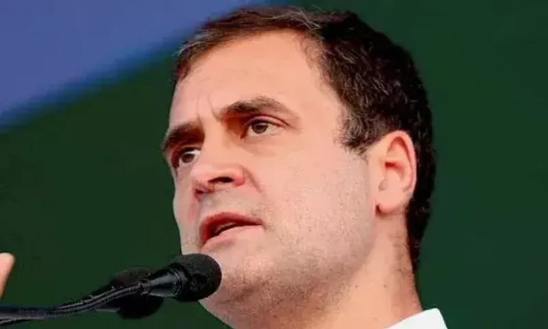 Not afraid of Modi, will not be intimidated: Rahul Gandhi on action in Herald case