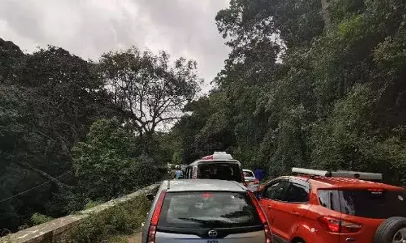 Mandatory for tourists to get e-pass for travel to Ooty and Kodaikanal by road