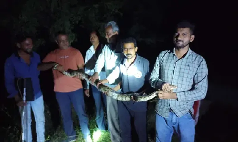 Gujarat SPCA rescued a python caught in a fishing net at Antoli village in Waghodia