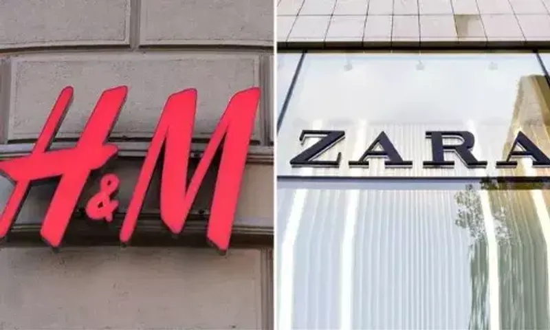 Report Links Fashion giants H&M, Zara to deforestation, corruption in Brazil
