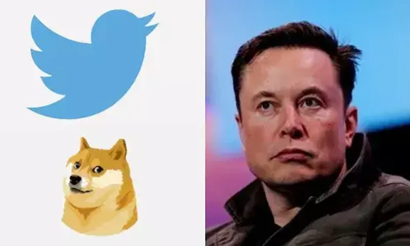 Elon Musk replaces Twitter's Blue Bird logo with 'Doge' meme