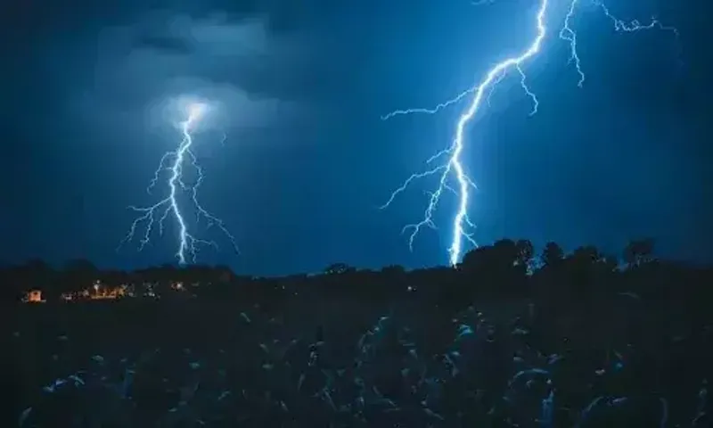 Gujarat: 20 dead in lightning strikes amid unseasonal rainfall