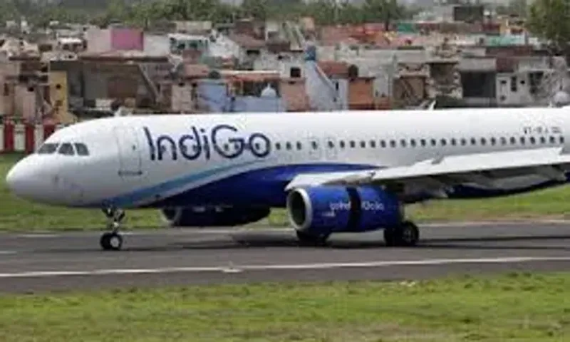 IndiGo Derosters woman pilot after video of mob beating her in Delhi goes viral