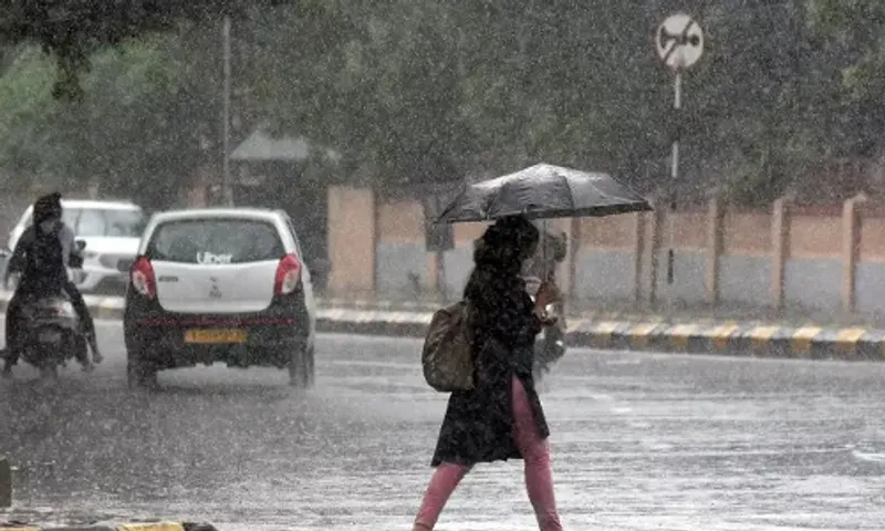 Gujarat: Several parts expected to receive heavy rains over next two to three days