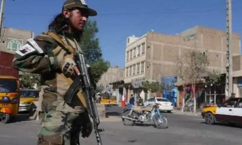 Taliban forces kill 2 IS members in Kabul raid
