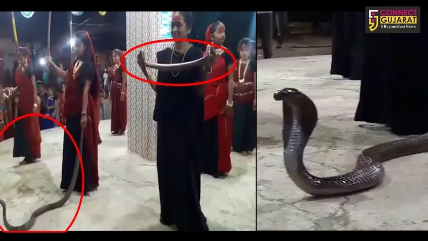 Junagadh: Mesmerizing people with the snake act during Garba gone wrong