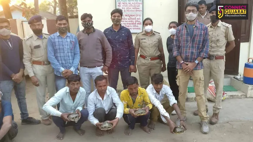 Five persons caught performing tantric rituals on wildlife turtles