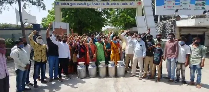 Cattle keepers of Bhavpura Bujeta village outraged by non-payment of milk and closure of their village society