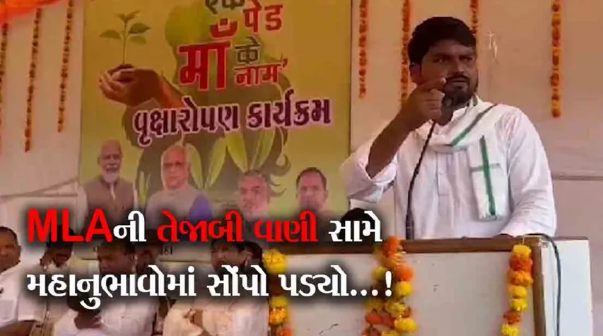 MLA