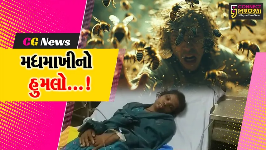 Sukhala Village Bee Attack