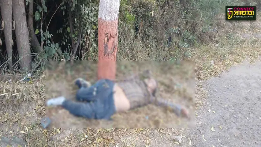 Jambusar Hit And Run