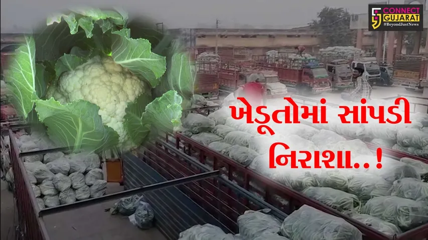 Sabarkantha Farmers
