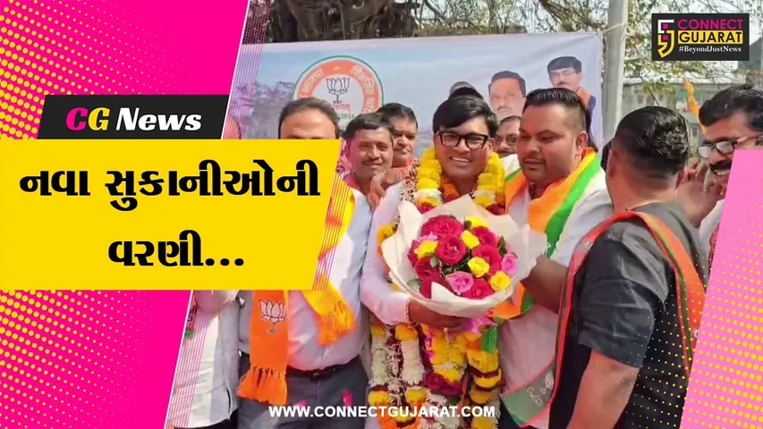 Diu Daman BJP