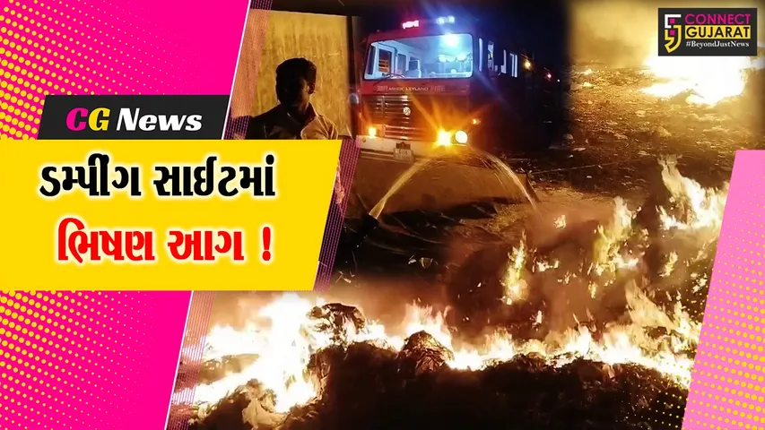 અંકલેશ્વર: GIDCમાં નોટિફાઇડ એરીયા ઓથોરિટીની ડમ્પીંગ સાઈટમાં ભીષણ આગ, 11 ફાયર ટેન્ડરોએ આગ પર મેળવ્યો કાબુ