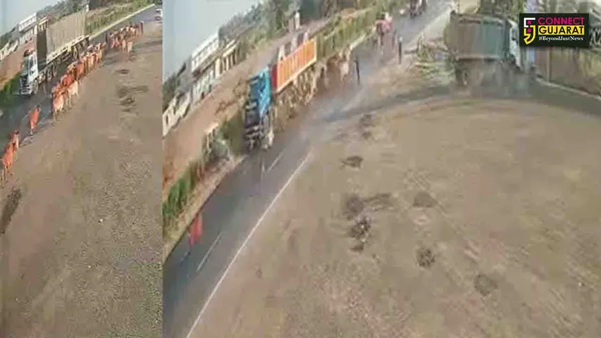 gujarat bharuch 48