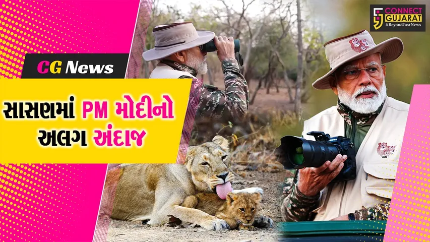 જૂનાગઢ : વડાપ્રધાન નરેન્દ્ર મોદીએ સાસણ ગીરમાં 'વર્લ્ડ વાઇલ્ડ લાઇફ ડે'ની ઉજવણી સાથે સિંહ દર્શન કર્યા