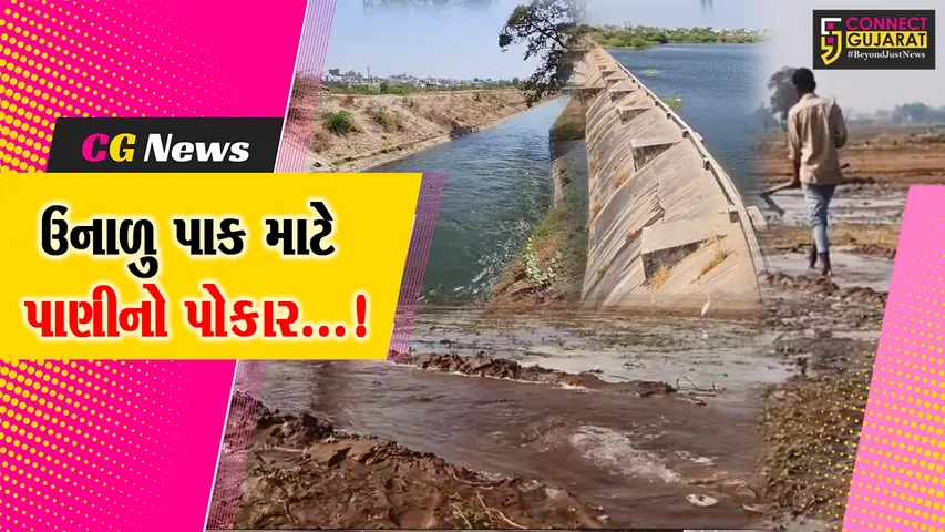 સાબરકાંઠા : ઉનાળાની શરૂઆત પહેલાં ખેડૂતોની ચિંતામાં વધારો, સિંચાઈ વિભાગ પાસે પાણી માટે કર્યો પોકાર