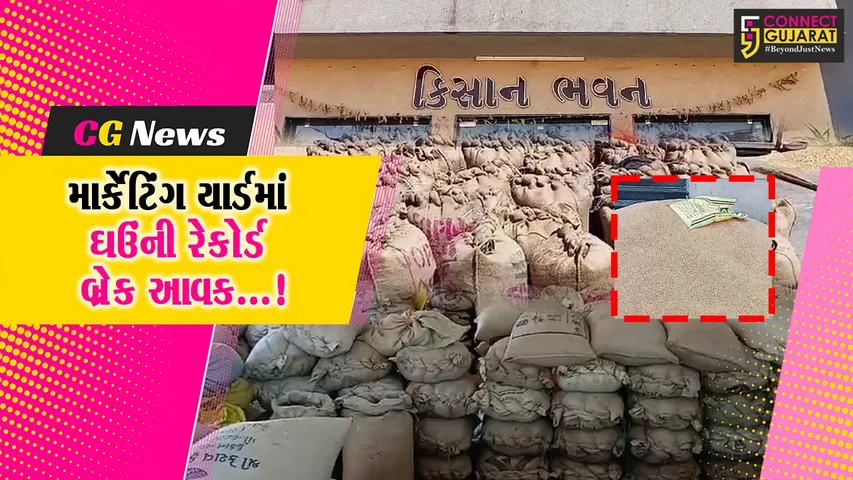 જુનાગઢ : માર્કેટિંગ યાર્ડ ઘઉંની મબલક આવકથી ઉભરાયું,ખેડૂત તેમજ વેપારીઓને ટોકન મુજબ પ્રવેશ આપવામાં આવ્યો