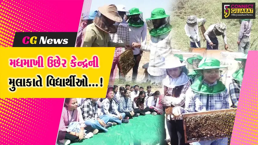 સુરેન્દ્રનગર : કૃષિ યુનિવર્સિટીના વિદ્યાર્થીઓએ રામરાસ મધમાખી ઉછેર કેન્દ્રની લીધી મુલાકાત,મધ ઉત્પાદન અંગે મેળવ્યું માર્ગદર્શન