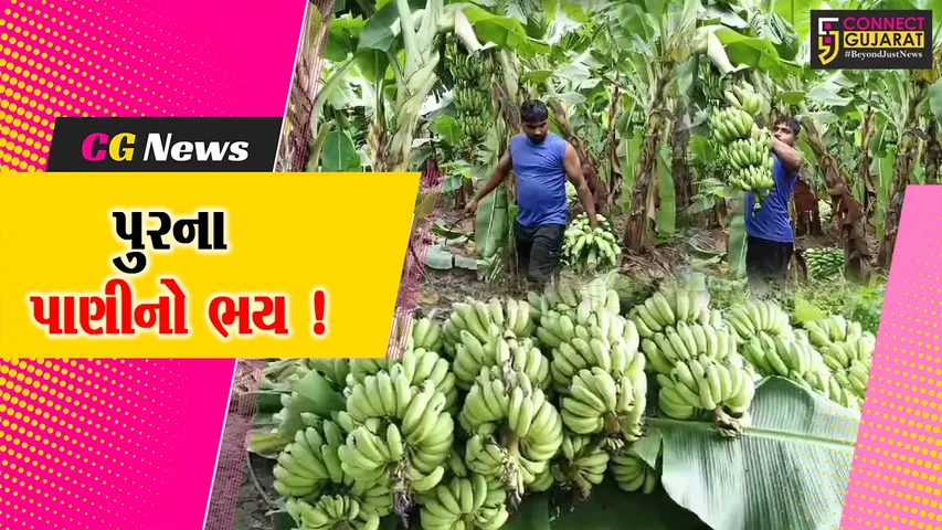 Ankleshwar Farmer