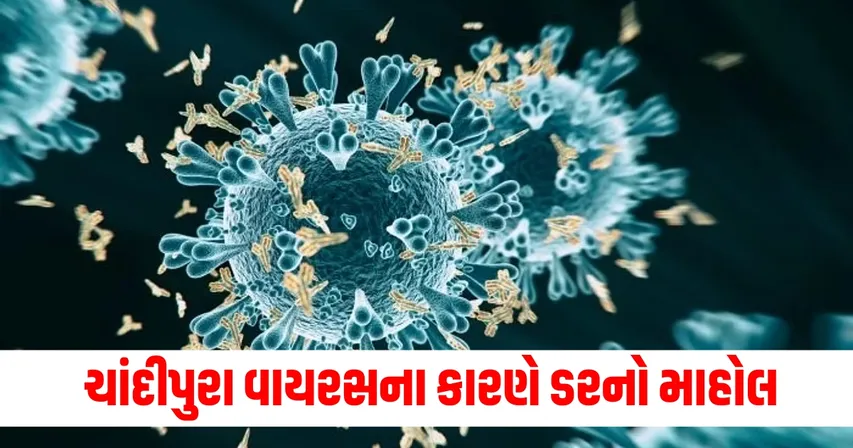 Chandipura-virus