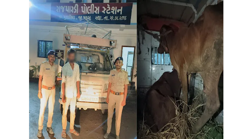 Rajpardi Police