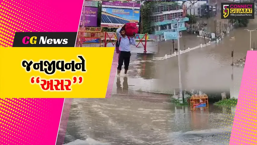 Vadodara RainFall