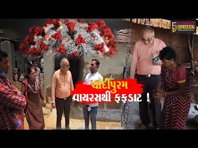 સાબરકાંઠા: ચાંદીપુરમ વાયરસના વધતા શંકાસ્પદ કેસથી ફફડાટ, 50 ટીમોએ સર્વે શરૂ કર્યો