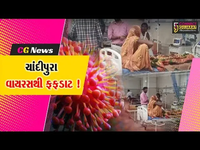 સાબરકાંઠા: હિંમતનગર સિવિલ હોસ્પિટલમાં ચાંદીપુરા વાયરસના વધુ 5 શંકાસ્પદ કેસ,આરોગ્ય વિભાગ દોડતું થયું