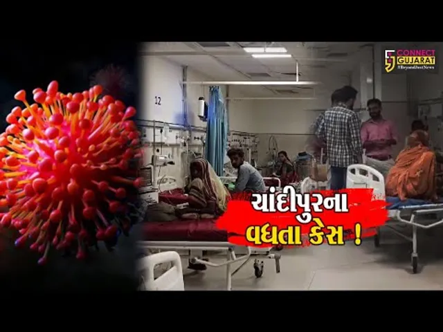 સાબરકાંઠા: ચાંદીપુરા વાયરસના વધુ 2 કેસ નોંધાયા,કુલ કેસની સંખ્યા 16 પર પહોંચી