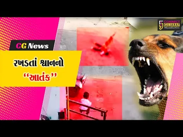 વલસાડ : ઘર આંગણે રમતી બાળકી ઉપર રખડતાં શ્વાનનો જીવલેણ હુમલો, સમગ્ર ઘટનાના CCTV ફૂટેજ સામે આવ્યા...