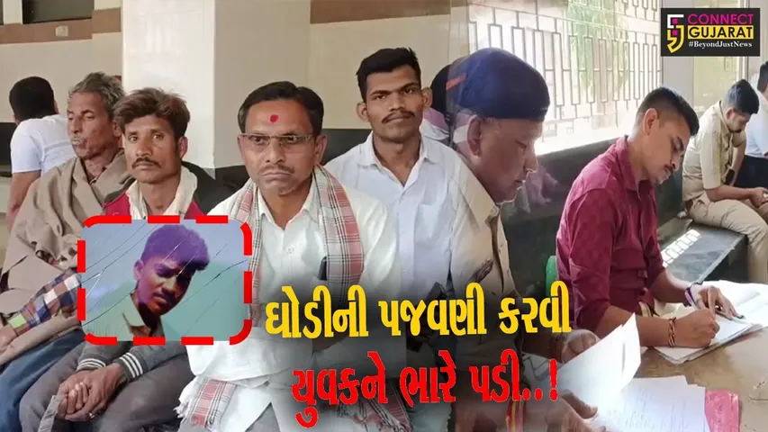 વડોદરા : ડભોઇના કુંઢેલા ચોકડી નજીક ઘોડીએ લાત મારતા યુવકનું ગંભીર ઇજાના પગલે મોત..!