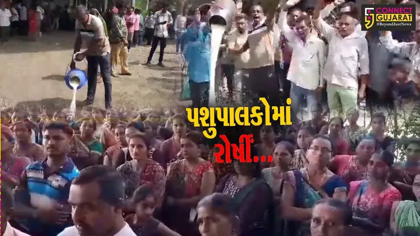 વલસાડ : દૂધના પોષણક્ષમ ભાવ ન મળતા પરવાસા ગામના પશુપાલકોએ દૂધના કેન ઠાલવી નોંધાવ્યો વિરોધ....