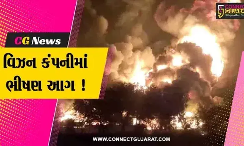 વડોદરા: પાદરાની વિઝન કંપનીમાં ભીષણ આગ,સમગ્ર પ્લાન્ટ બળીને ખાક