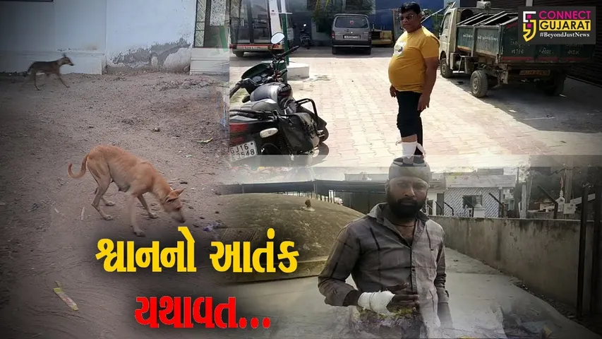 ભરૂચ : આમોદ પંથકમાં શ્વાનનો આતંક યથાવત, નગરજનોમાં ભયનો માહોલ...