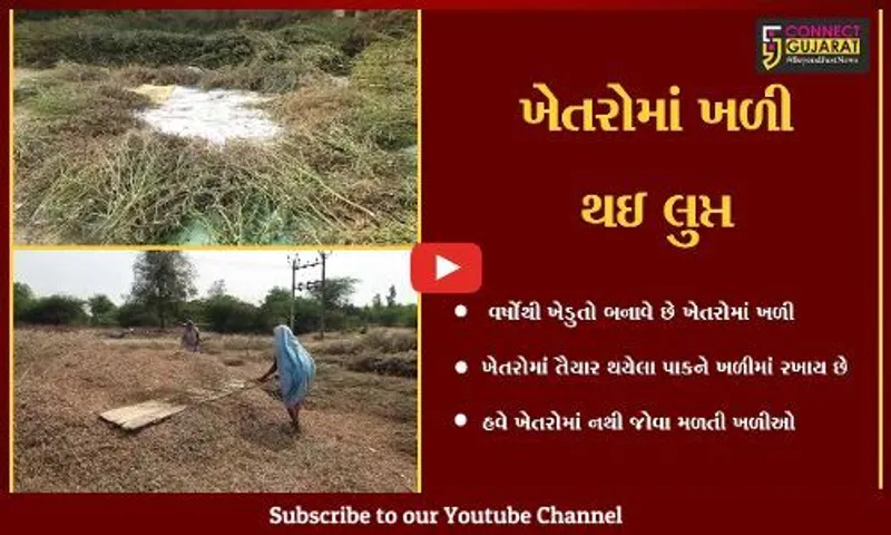 અંકલેશ્વર : ખેતરોમાં હવે ખળી બનાવવાની પ્રથા લુપ્ત, જુની પરંપરા જાળવવા ખેડુતોને અપીલ