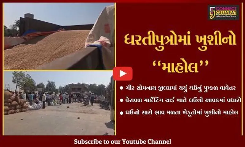 ગિર સોમનાથ : વેરાવળ માર્કેટિંગ યાર્ડ ઘઉંથી ઉભરાય, સારા ભાવ મળતા ખેડૂતોમાં ખુશી...