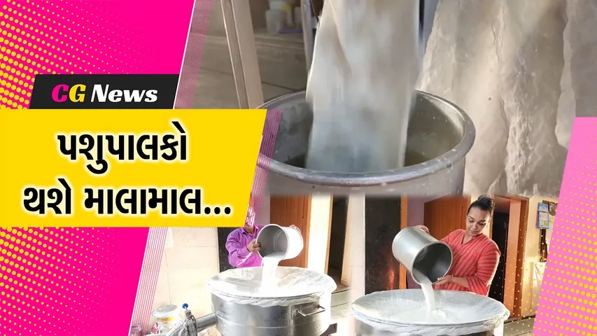 સાબરકાંઠા અને અરવલ્લી જિલ્લાના પશુપાલકો માટે ખુશીના સમાચાર, સાબર ડેરી દ્વારા દૂધના ભાવમાં કરાયો વધારો...