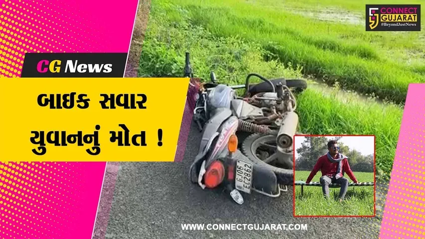ભરૂચ: જંબુસરના વડદલા ગામ નજીક ભૂંડ માર્ગ પર આવી જતાં બાઇક સવાર યુવાનનું મોત