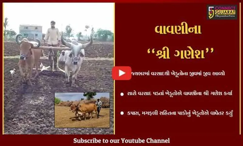 ગુજરાત : વાવણી લાયક વરસાદ વરસતા ખેડૂતોએ ચોમાસુ વાવેતરના કર્યા શ્રી ગણેશ…