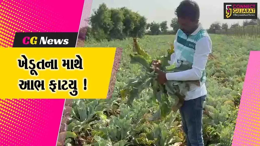 અંકલેશ્વર: માટીએડ ગામના ખેડૂત સાથે ટીસ્યુ બિરાયણમાં છેતરપિંડી,ઉચ્ચકક્ષાએ કરાય રજુઆત