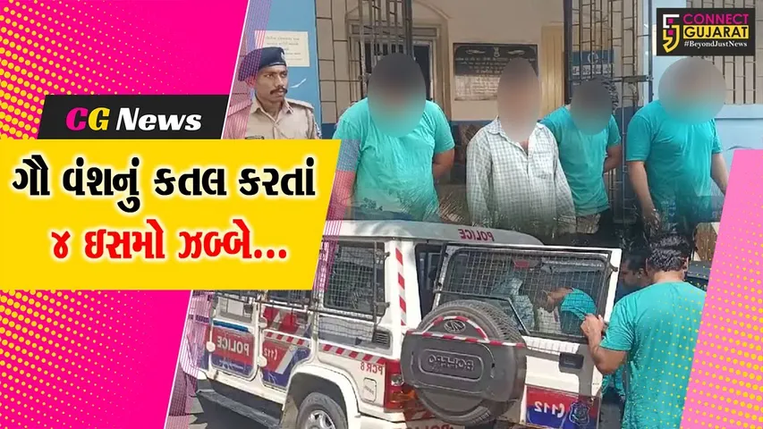 અંકલેશ્વર : કસાઇવાડ ખાતે ગૌ વંશનું કતલ કરતા 4 ઈસમને પોલીસે રંગે હાથ ઝડપી પાડ્યા...