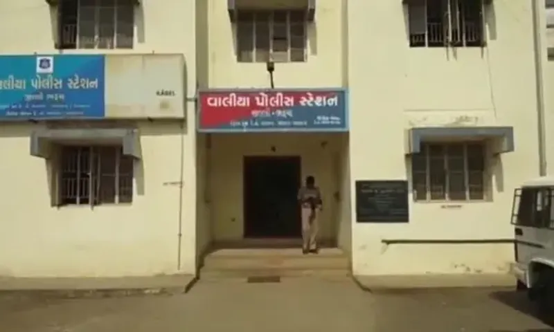 ભરૂચ: વાડી-વાલિયા માર્ગ પર ટ્રાફિકને અડચણરૂપ વૃક્ષો પોલીસ દ્વારા દૂર કરાયા