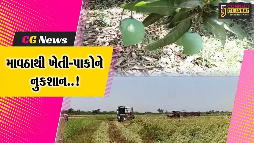 અંકલેશ્વર : માવઠાના કારણે કેરી સહિત ડાંગરના પાકને નુકશાન, ખેડૂતો ચિંતામાં મુકાયા...