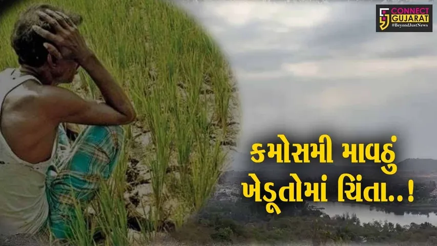 “માવઠું” : ગિરિમથક સાપુતારા સહીત ડાંગ અને વલસાડ-વાપીમાં ખાબક્યો વરસાદ, પાક નુકશાનની ખેડૂતોમાં ભીતિ..!