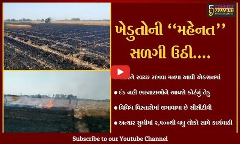 ગીર સોમનાથ : કોડીનારના સરખડીમાં ભીષણ આગ, 50 વિંઘામાં થયેલો ઘઉંનો પાક નષ્ટ