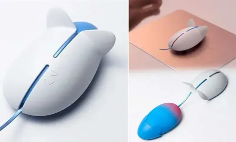 Samsung Balance Mouse : ઓવરવર્કિંગ અને ઓવરટાઇમ કરવાથી માઉસ ભાગી જશે, જાણો શું છે કોન્સેપ્ટ.!